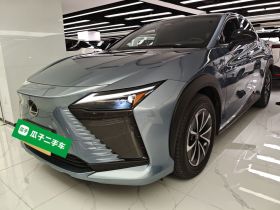 雷克萨斯RZ 2023款 450e 四驱纵享版