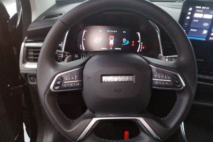 哈弗H6 2021款 国潮版 1.5T 自动冠军版局部细节13