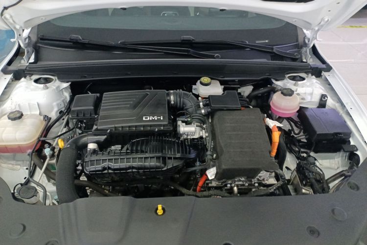 比亚迪 秦PLUS 2024款 荣耀版 DM-i 55KM领先型机舱底盘24