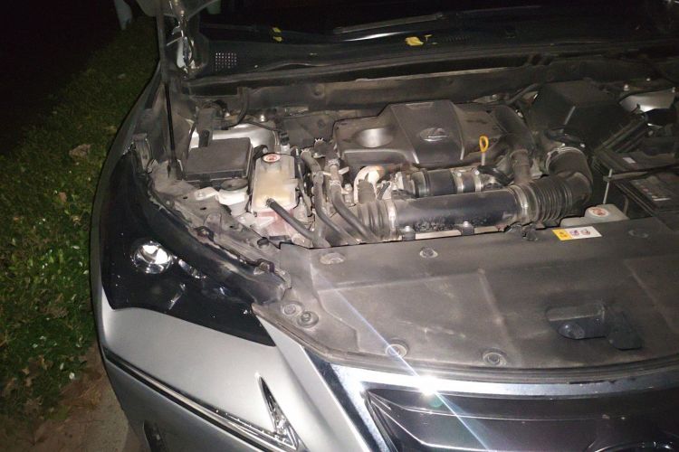 雷克萨斯NX 2015款 200t 全驱 锋尚版局部细节9006