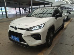 丰田 威兰达 2023款 2.0L CVT四驱豪华PLUS版