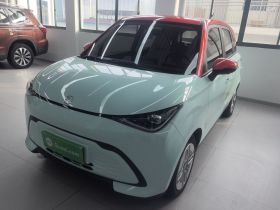 奇瑞 多米 2025款 305km 舒享型