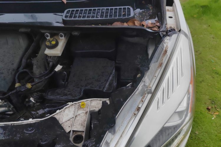 福特 翼虎 2017款 EcoBoost 180 两驱虎跃型局部细节9007