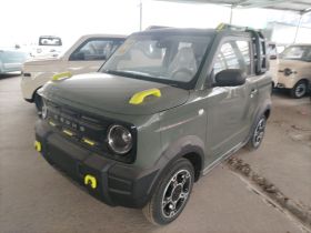 吉利银河 2025款 210km 熊猫骑士