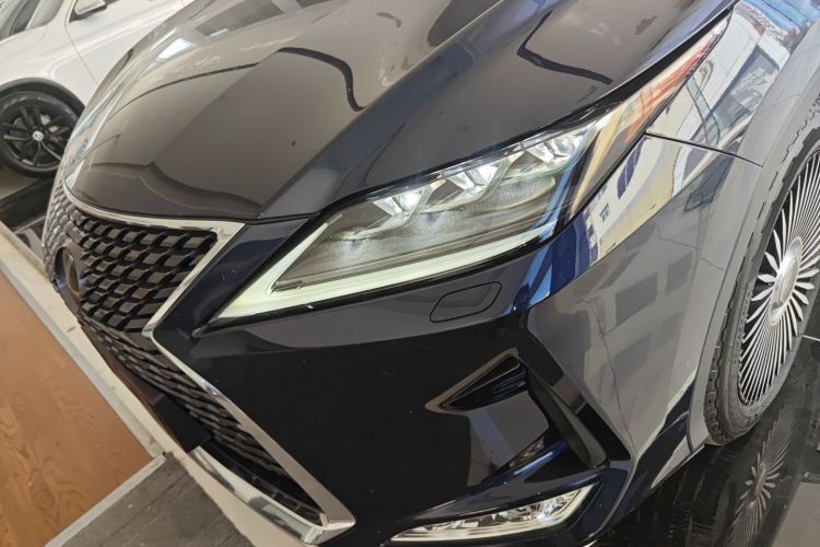 雷克萨斯RX 2020款 改款 300 四驱典雅版局部细节36