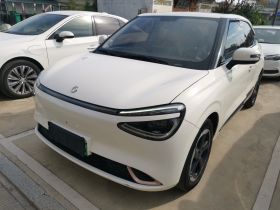 东风纳米 纳米01 2024款 430 Max