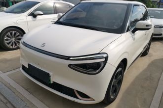 东风纳米 纳米01 2024款 430 Max