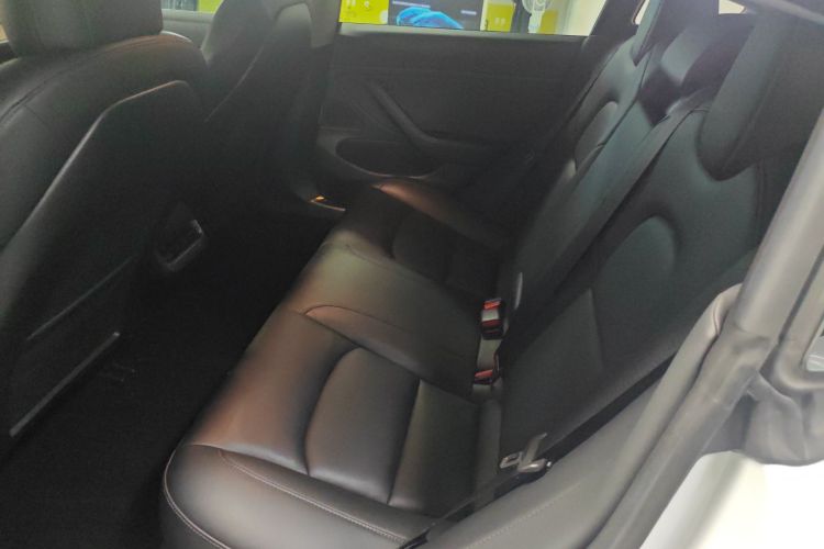 特斯拉 Model 3(进口) 2019款 长续航全轮驱动版中控内饰21