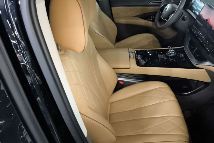 腾势D9 2022款 DM-i 970 四驱尊荣型局部细节41