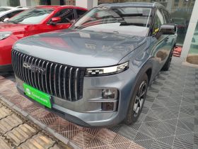 奇瑞 探索06 2023款 都市版 1.6T 两驱豪华