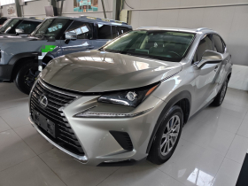 雷克萨斯NX 2020款 200 全驱 锋尚版 国VI