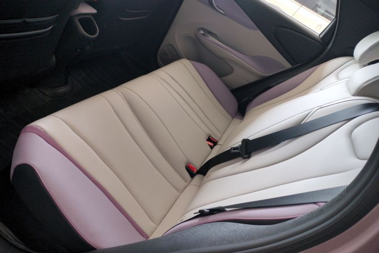 比亚迪 海豚 2021款 401km 骑士版中控内饰21