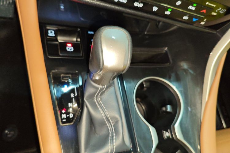 雷克萨斯RX 2020款 300 两驱舒适版 国VI局部细节18