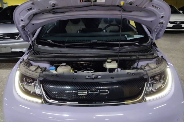 比亚迪 海豚 2023款 420km 时尚版机舱底盘24