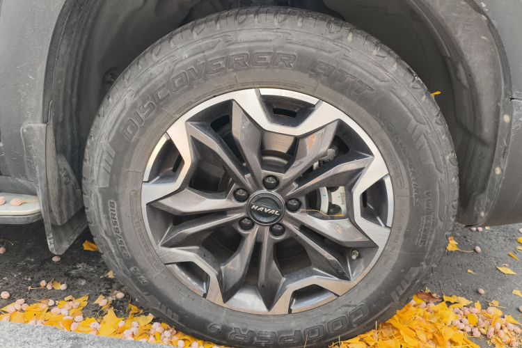 哈弗大狗 2021款 改款 2.0T DCT四驱哮天犬版车身外观10