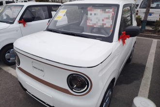 吉利银河 2024款 熊猫mini 200km 耐力熊