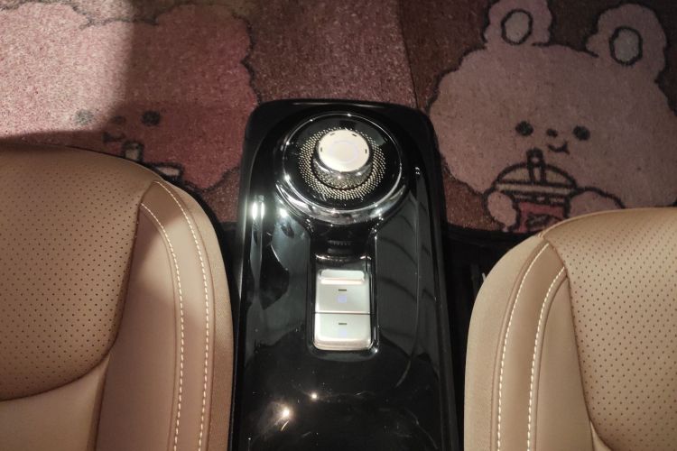 五菱汽车 五菱缤果 2023款 333km 灵犀互联款局部细节18