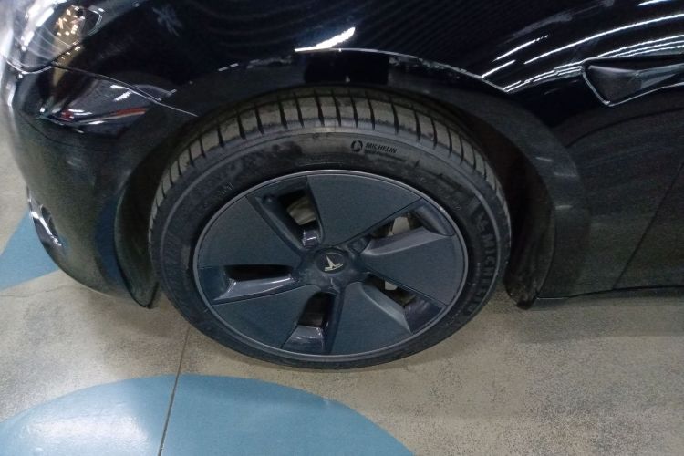 特斯拉 Model 3 2021款 标准续航后驱升级版 3D6车身外观6007