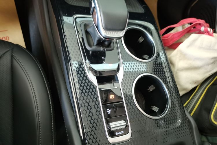 红旗HS3 PHEV 2024款 PHEV 115km 劲为版局部细节18