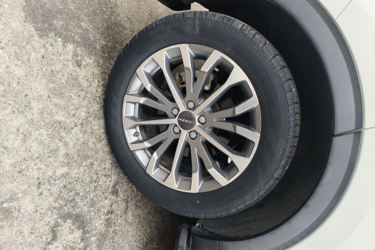 哈弗H6 2020款 2.0GDIT 自动铂金豪华版车身外观6008