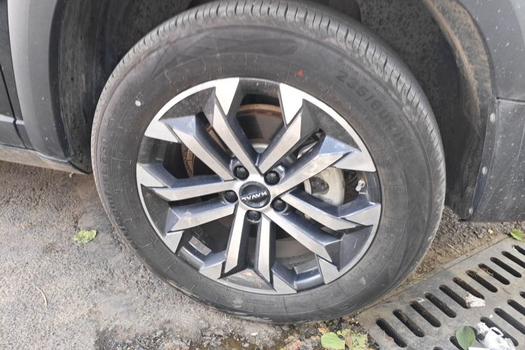 哈弗大狗 2024款 1.5T DCT边牧版车身外观6007