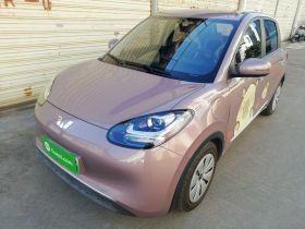 五菱汽车 五菱缤果 2023款 333km 快享款