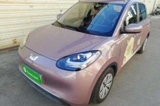 五菱汽车 五菱缤果 2023款 333km 快享款