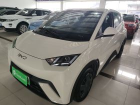 比亚迪 海鸥 2025款 305km 活力版