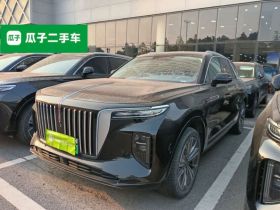 红旗E-HS9 2021款 460km 旗享版 六座