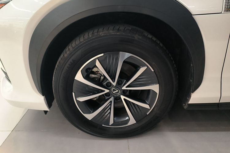 雷克萨斯RZ 2023款 450e 四驱纵享版车身外观6007