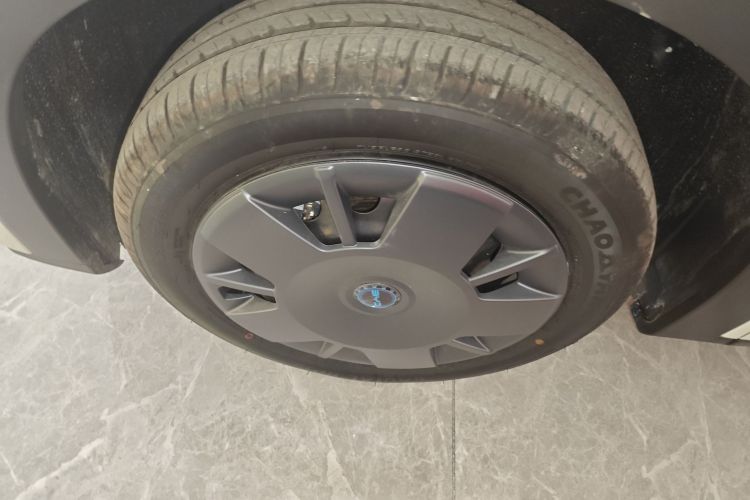 比亚迪 海鸥 2025款 智驾版 305km 活力版车身外观6007