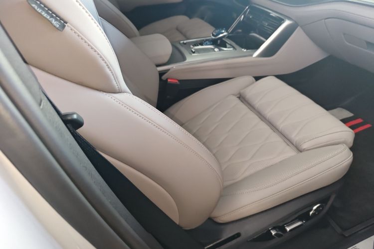 比亚迪 唐新能源 2024款 EV 冠军版 600KM 尊享型局部细节41