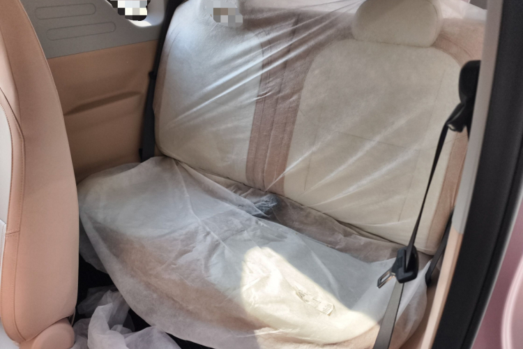 吉利银河 2024款 熊猫mini 200km 耐力熊中控内饰21