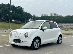 欧拉黑猫 2021款 301km 基础型