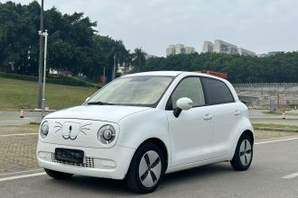 欧拉黑猫 2021款 301km 基础型