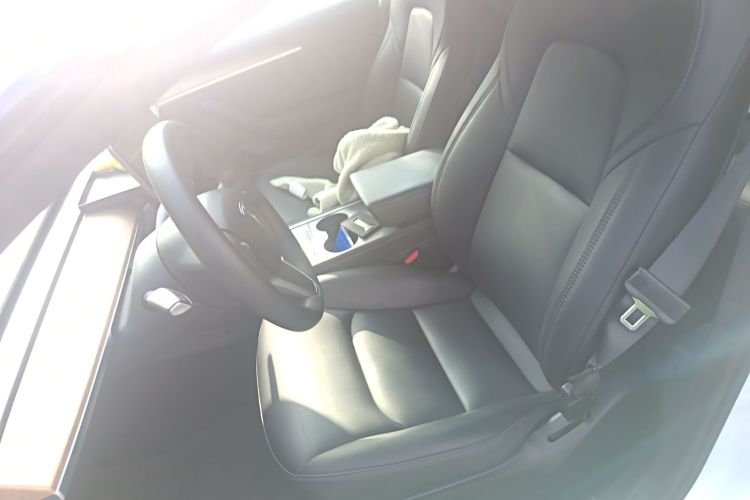 特斯拉 Model 3 2021款 标准续航后驱升级版局部细节19