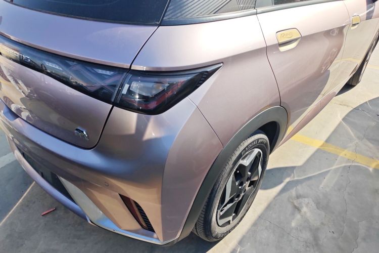 比亚迪 海豚 2021款 405km 时尚版车身外观9