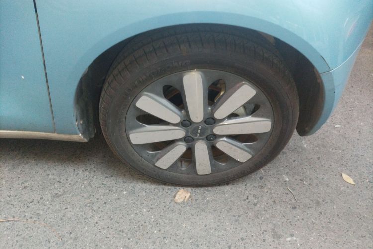 欧拉黑猫 2019款 351km 女神版车身外观6007