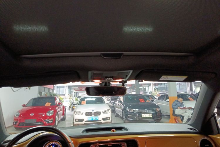 大众 甲壳虫 2017款 180TSI 沙丘越野版局部细节22