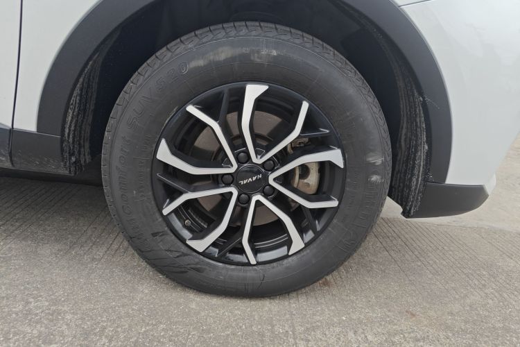 哈弗H6 2021款 国潮版 1.5T 自动都市版车身外观6007