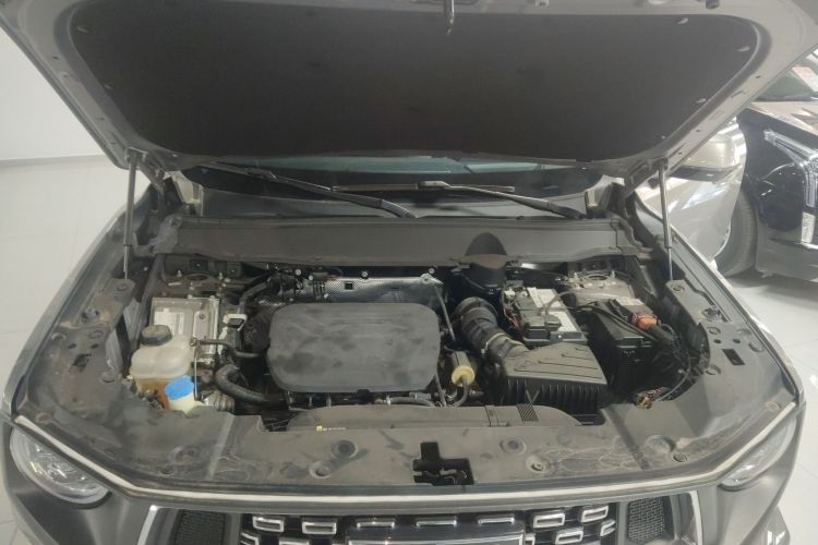 哈弗大狗 PLUS 2023款 1.5T 两驱潮野版Plus局部细节24