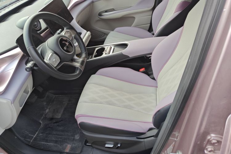 比亚迪 海豚 2023款 420km 自由版中控内饰19