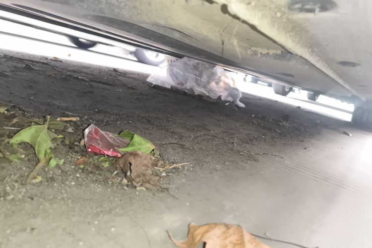 起亚K4 2017款 1.8L 自动GLS Special局部细节9004