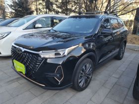 奇瑞 瑞虎8 PRO 2024款 冠军版 390T 两驱巅峰版 5座