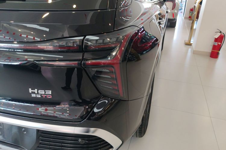 红旗HS3 2023款 1.5T 两驱善为版车身外观9