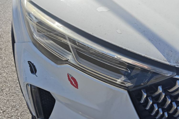 奔腾T33 2019款 1.6L 自动豪华型 国VI车身外观8