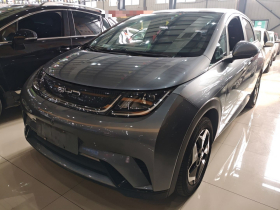 比亚迪 海豚 2021款 405km 自由版