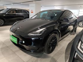 特斯拉 Model Y 2022款 后轮驱动版
