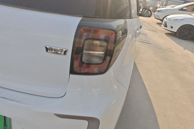 思皓 2022款 花仙子款 蒲公英车身外观9