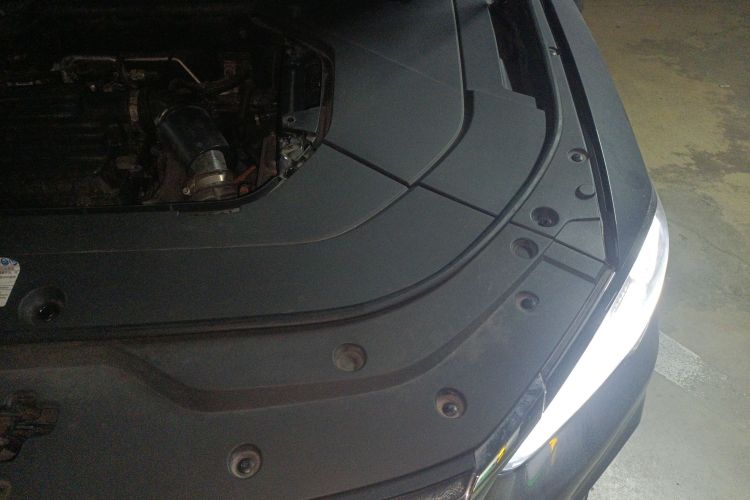 比亚迪 宋Pro新能源 2019款 DM 1.5T 四驱性能版豪华型局部细节9007